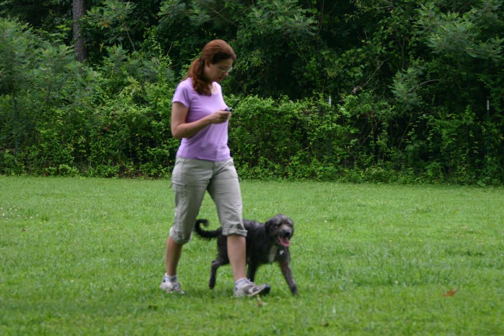 Pacesetter Training Kennel Winterville GA 30683 7067425743